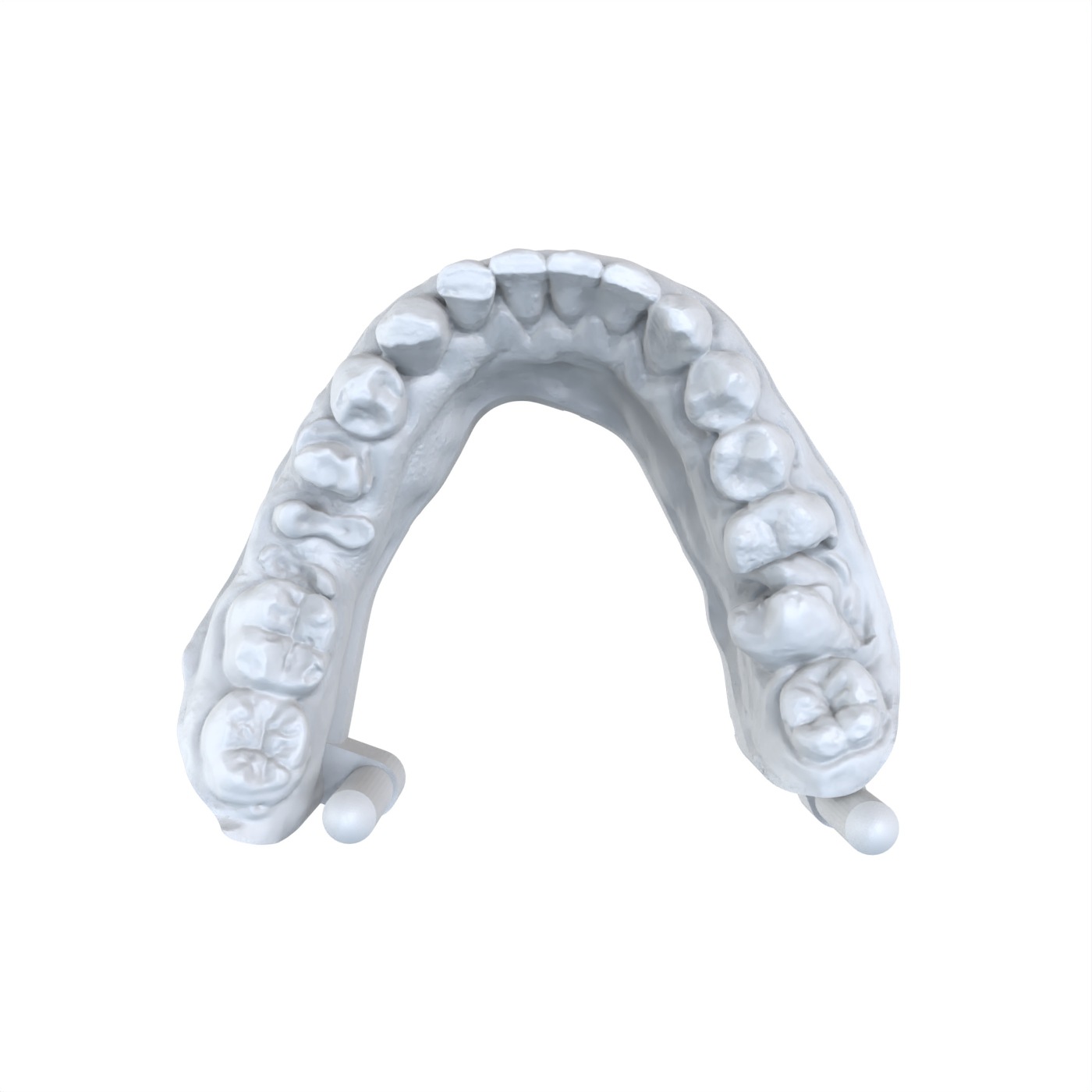 1 Buah Model Gigi Bahan Resin  - 3D Printing Dental ulasan dan harga